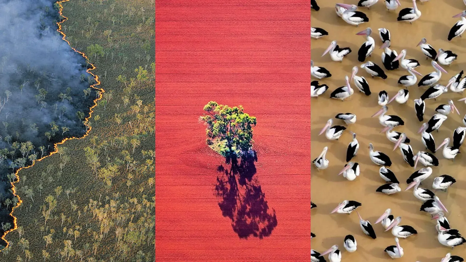 Annual environmental reporting across Australia