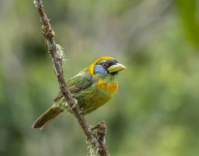 ACT Environmental Policy