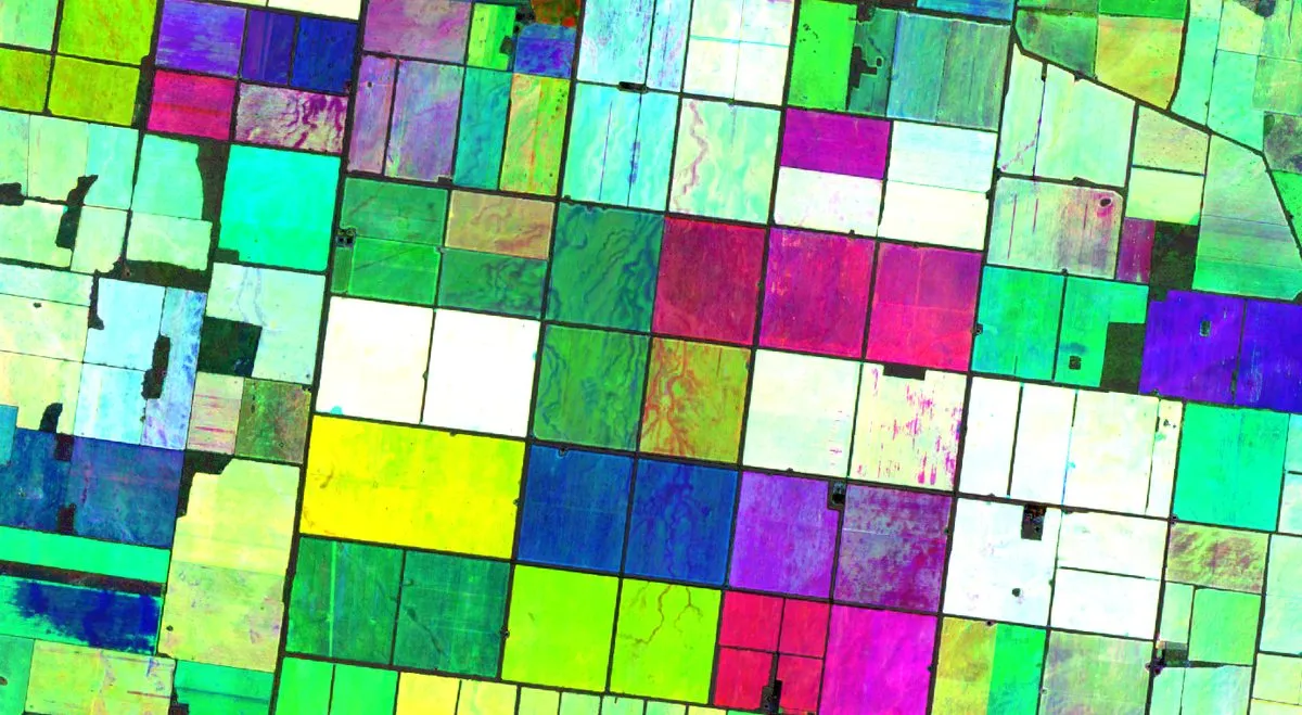 False-colour satellite imagery of farmland with field boundaries picked out against surrounding country