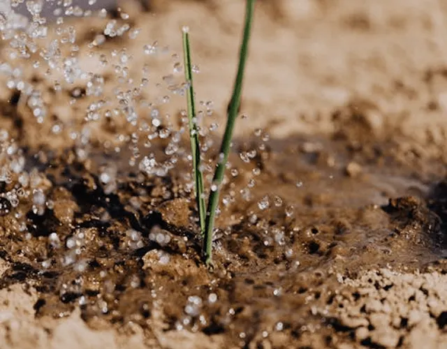 NSW Water Compliance