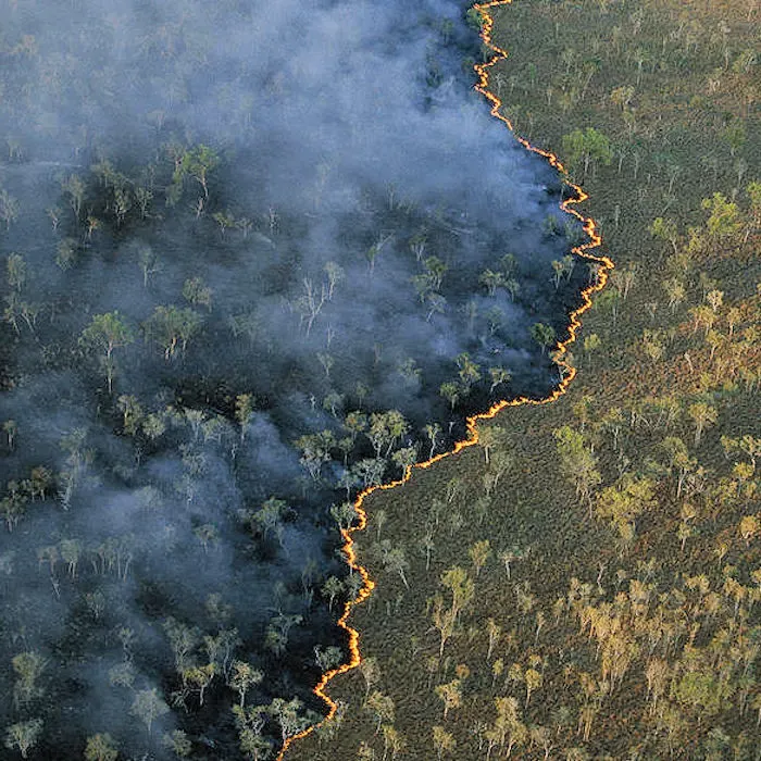 Continental bushfire intelligence with an AI agent
